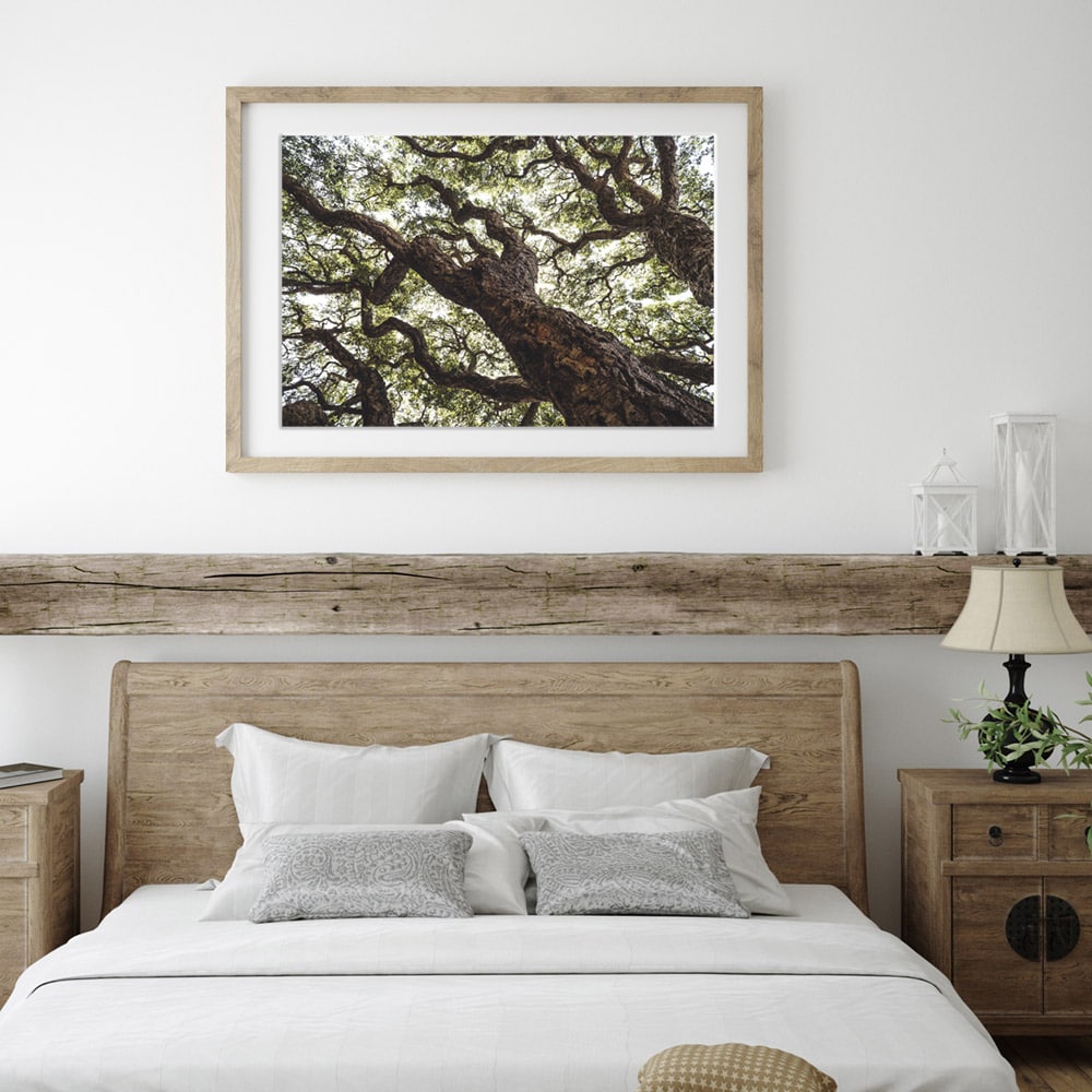 Tirage d'art photo de nature avec un arbre pour décorer une chambre à coucher